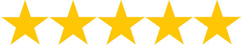4.9 out of 5 stars